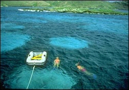Antigua Escape. The heart & soul of the Caribbean